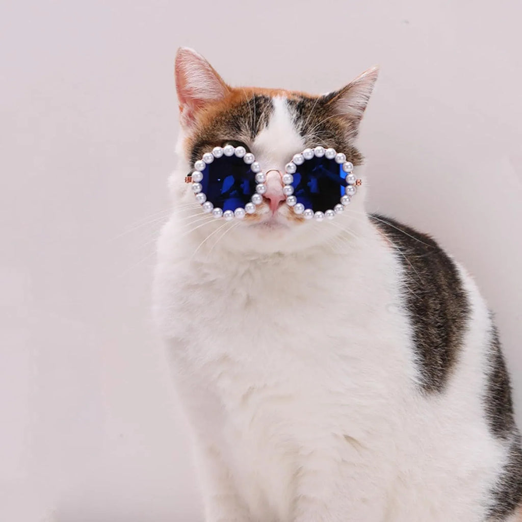 Round pearl sunglasses for a cat or dog, shown in blue on a neutral background.