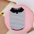 Pet dog wearing cotton stripes T-shirt and matching skirt summer outfit set