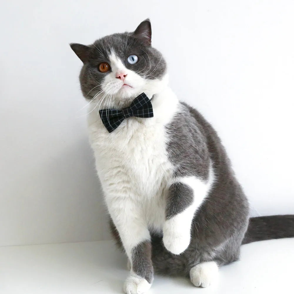 British-style wool felt pet bow tie and elastic hair band set for small dogs and cats.