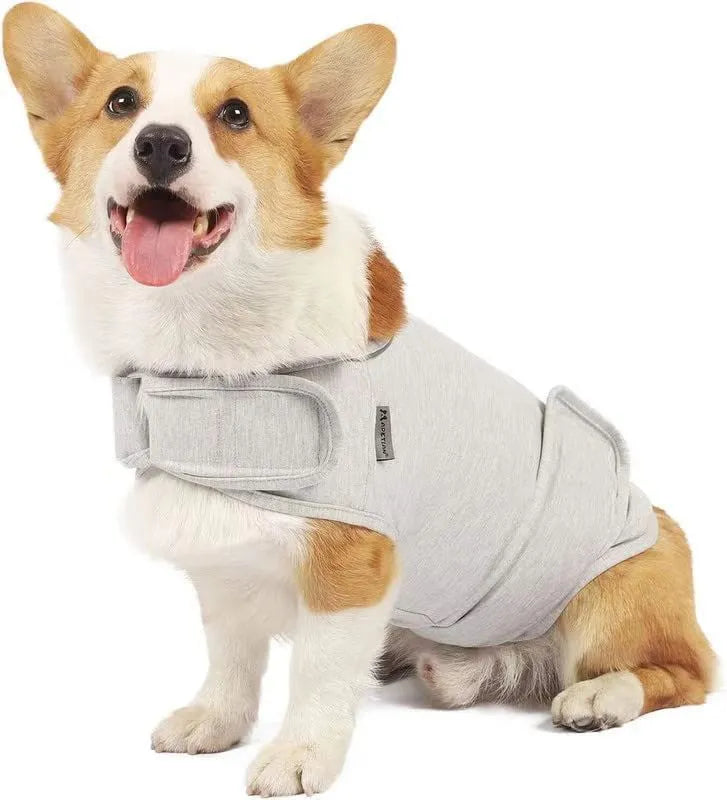Dog wearing brown cotton calming tank top for separation anxiety relief