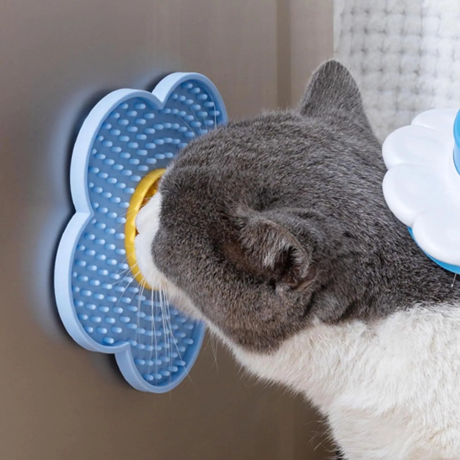 Flower-shaped blue silicone pet licking mat with suction cups on a smooth surface.