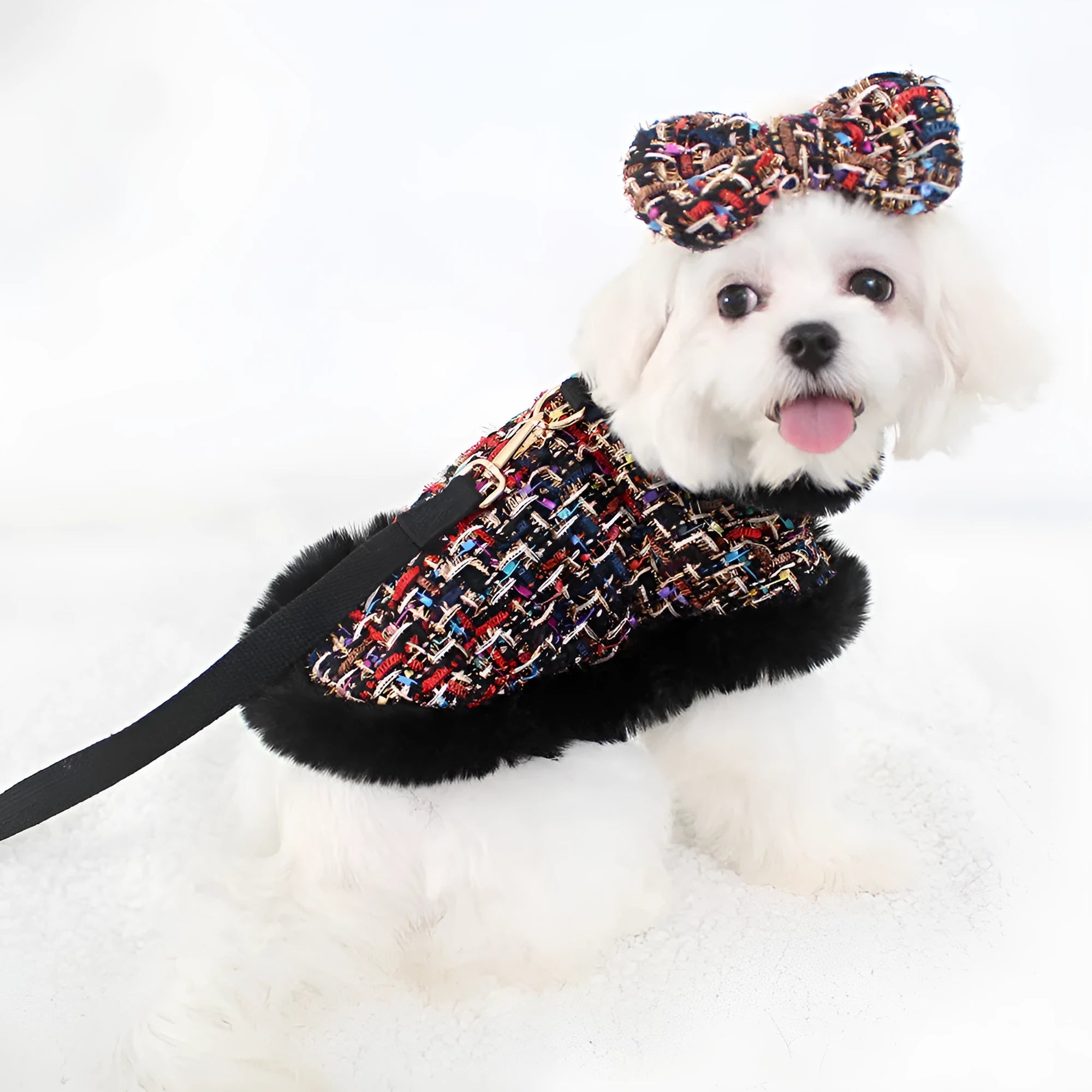 Classic pet dog cloak attached to chest strap harness with separate hand-holding leash in cloth material