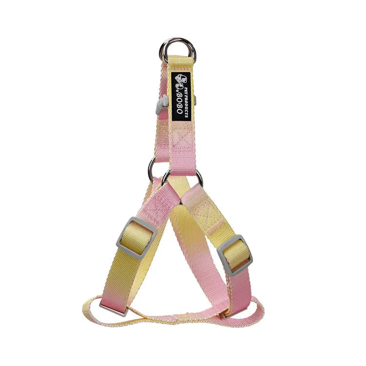 Gradient colour nylon dog lead and adjustable chest harness set for small or medium dogs.