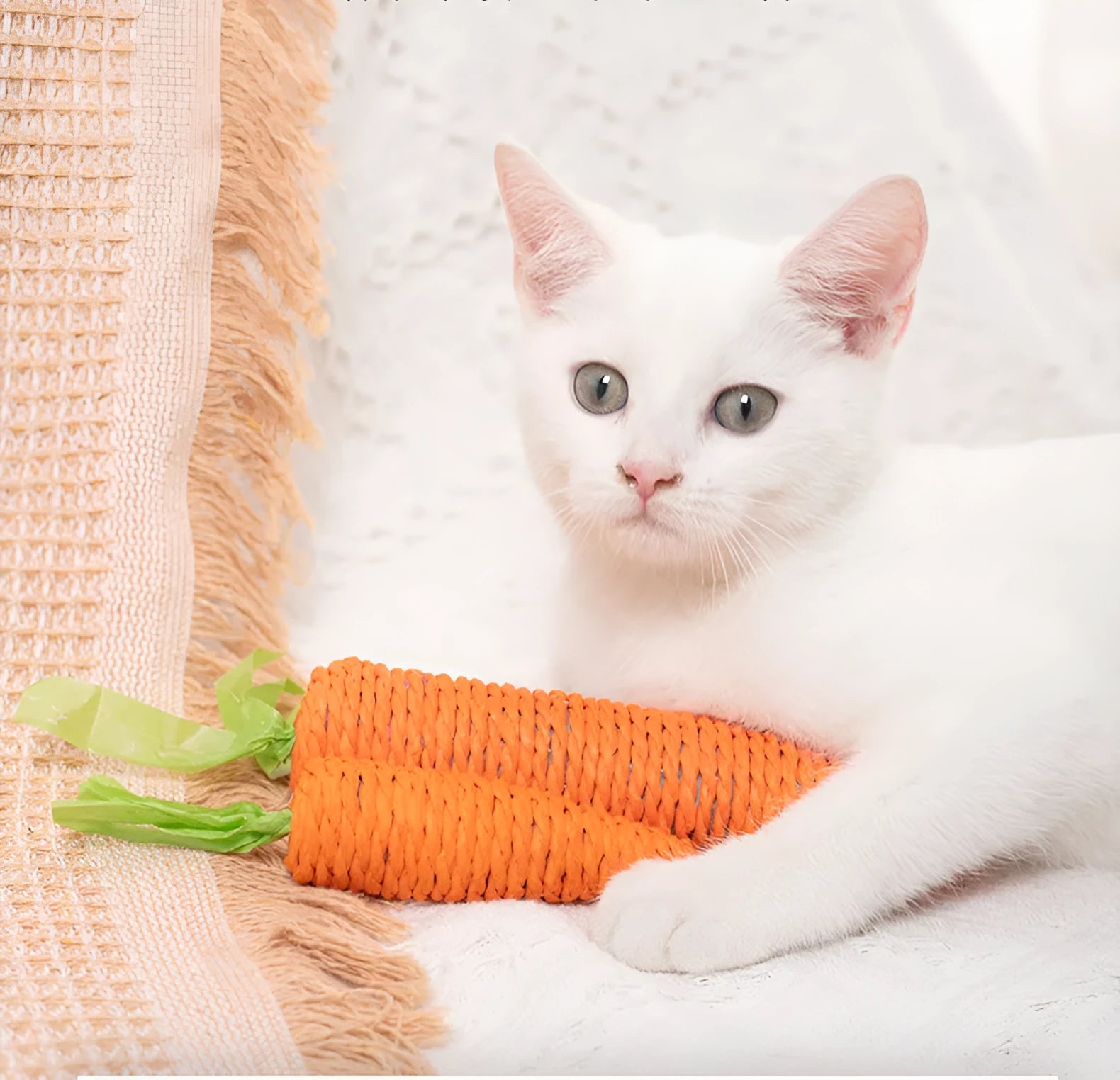 Bundle of cat toys including carrot-shaped chews, crinkly paper rings, and audible ringing stones in multiple sizes