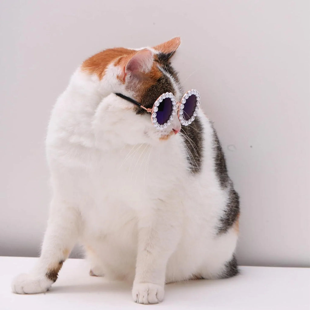 Round pearl sunglasses for a cat or dog, shown in blue on a neutral background.