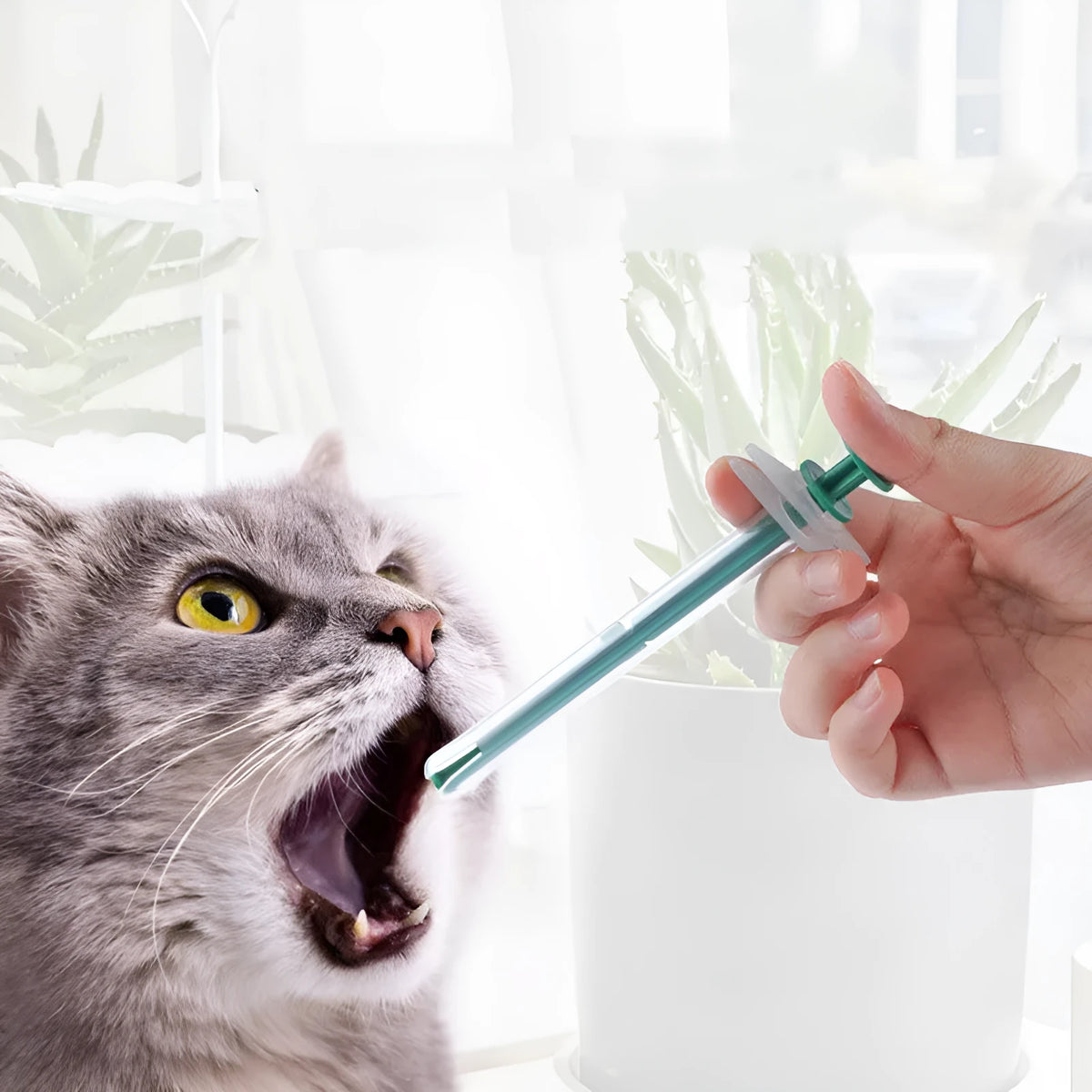 Cat and dog universal syringe medicine feeder in PP and PVC, wet and dry 2 pack for solid and liquid pet medicine