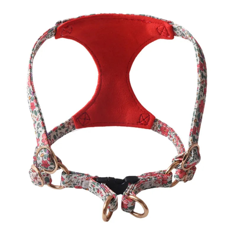 Cloth dog harness and leash set in orange colour on a dog