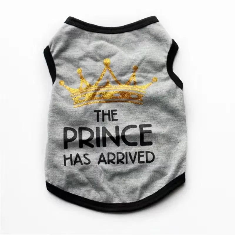 Cotton summer vest for small dog in grey colour with casual design
