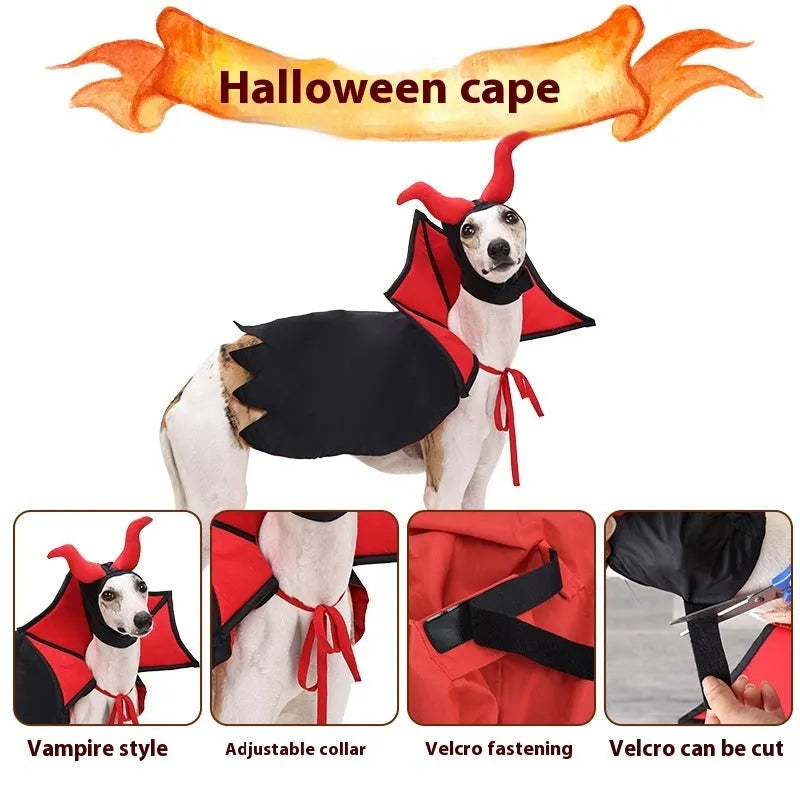 Black vampire cloak and hat costume for a small pet on a white background.