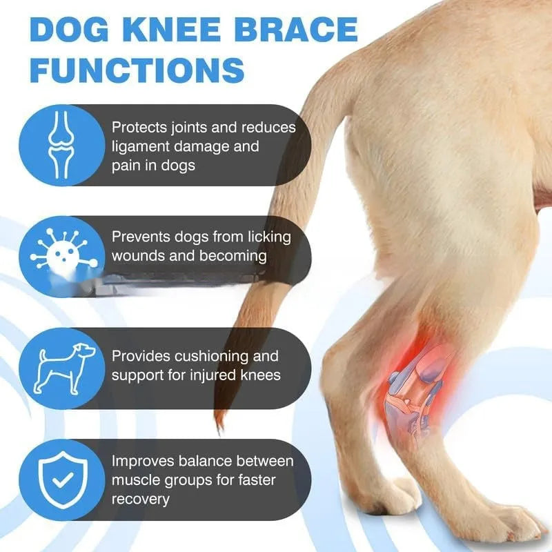 Black polyester dog leg guard or knee pad for ACL and joint support, shown in size L, M, and XL.