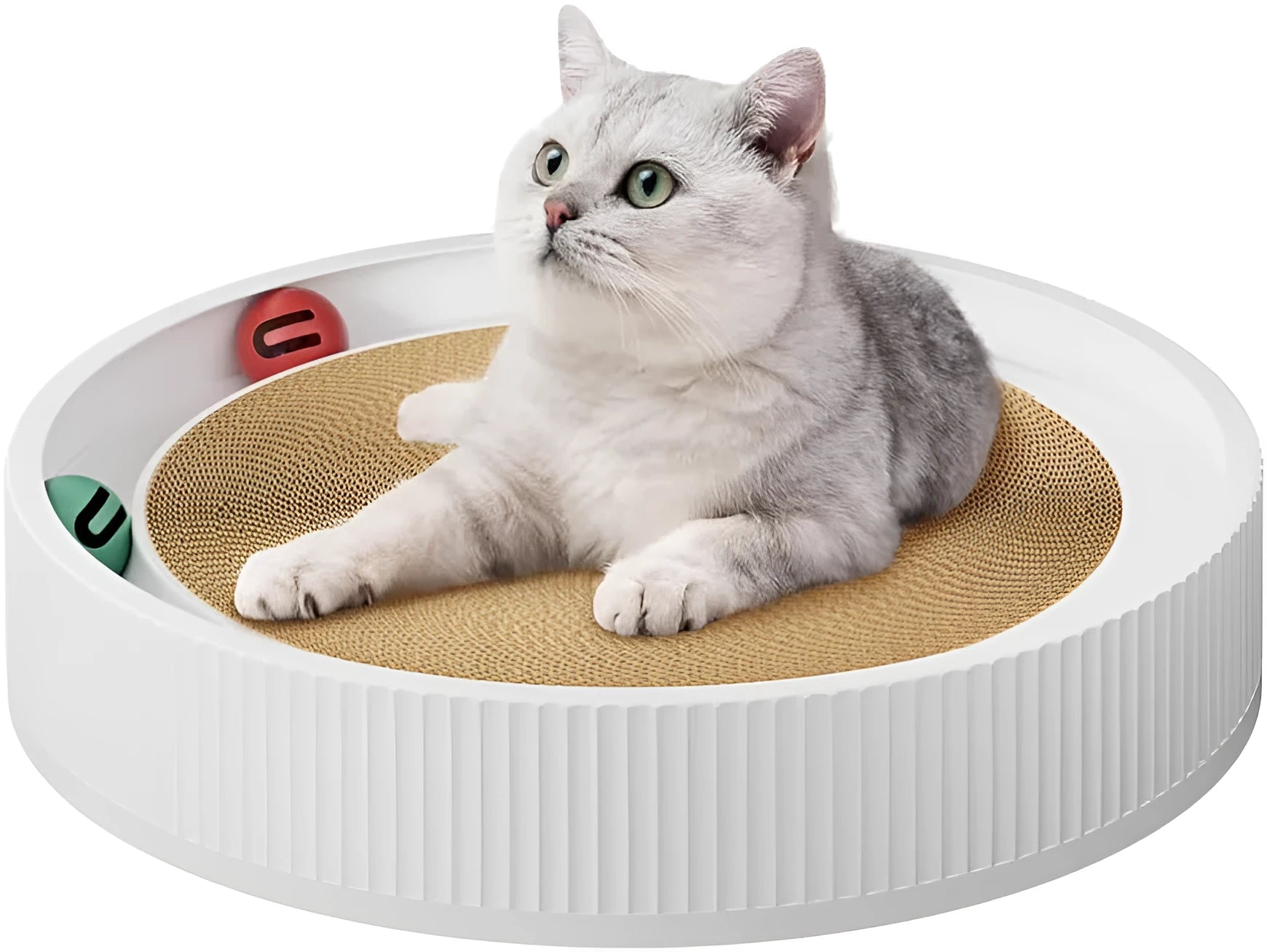 Large circular green cat scratching board with ball toys and a replaceable cardboard core
