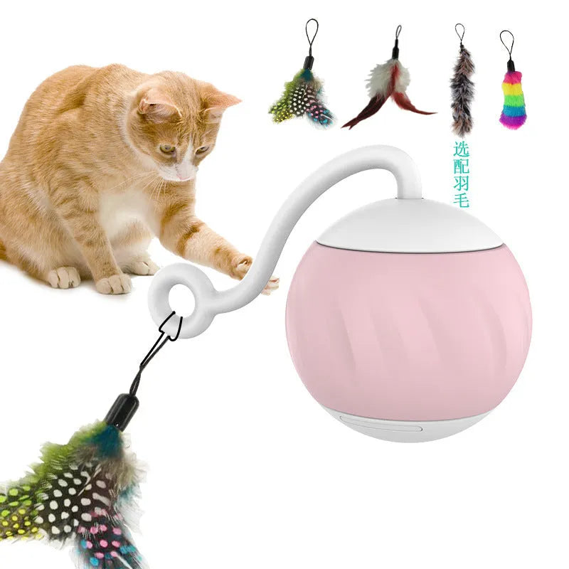 Electric cat toy with luminous rolling ball in pumpkin and watermelon colour designs
