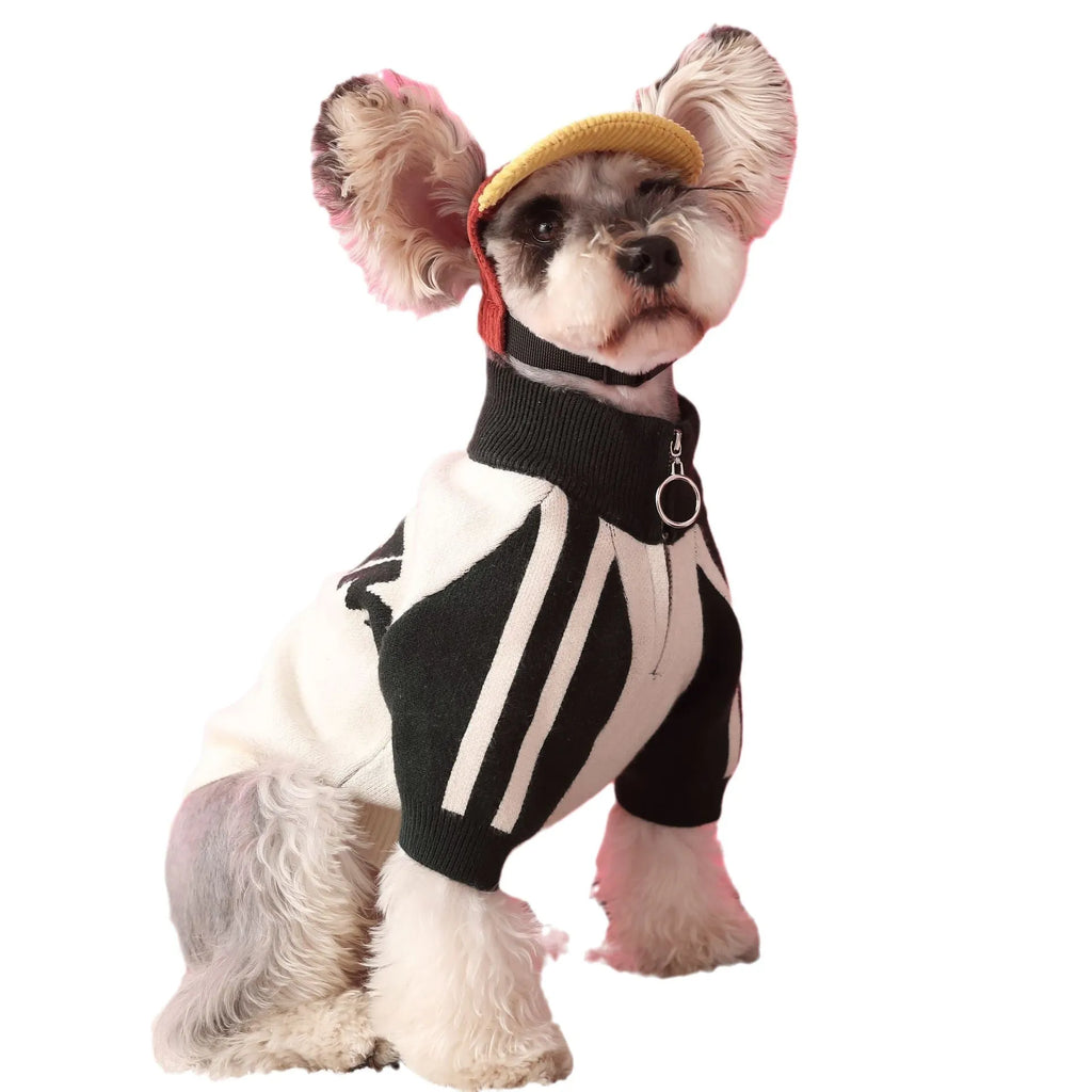 Red puppy dog wearing wool sports cardigan sweater pet clothing