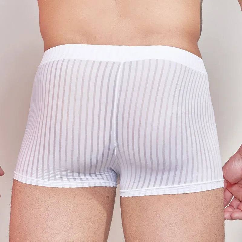 Men's striped underwear in thin transparent nylon fabric, shown in dark grey colour.