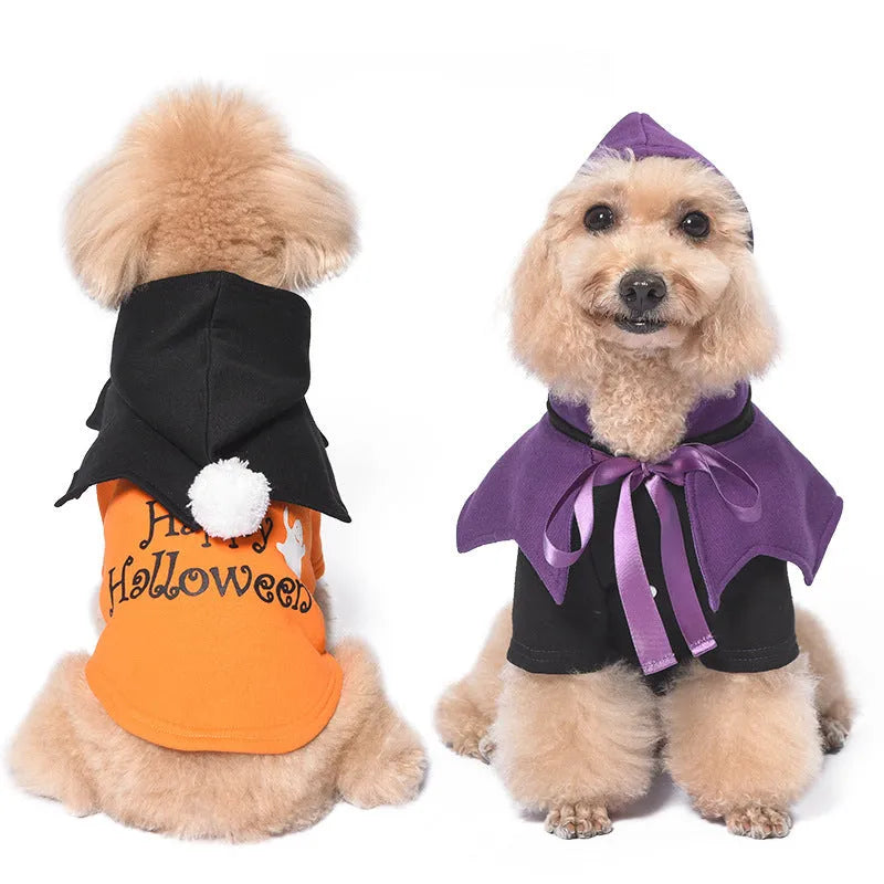 Black and orange Halloween pumpkin dog sweater and shawl set for dogs