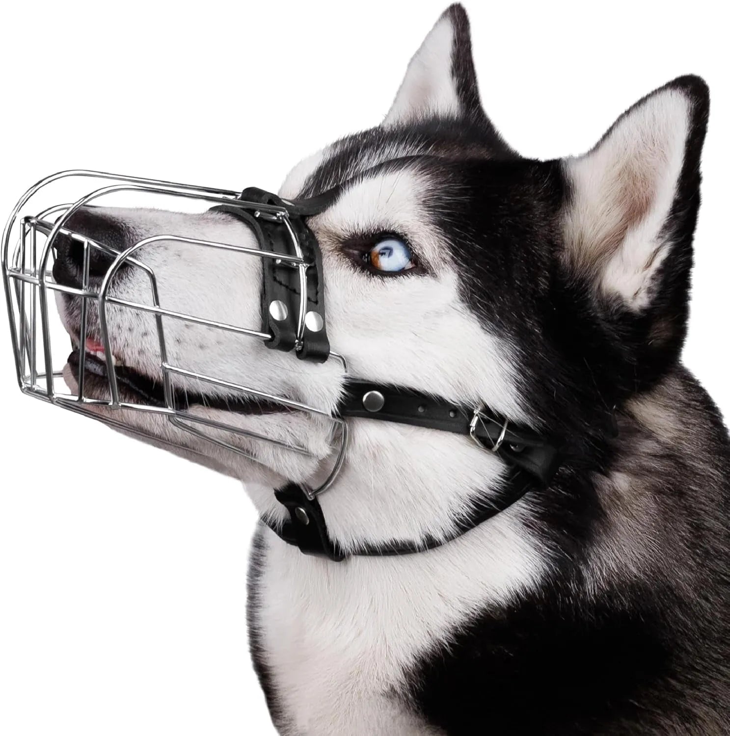 Black metal dog muzzle designed specifically for Golden Retrievers and German Shepherds