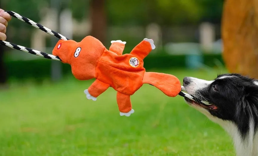 Cotton rope dog chew toy 22.5x8cm for medium and large dogs, two-piece pet bite toy set