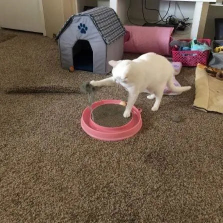 Blue interactive cat scratcher toy with a ball in a track and a corrugated cardboard scratch pad