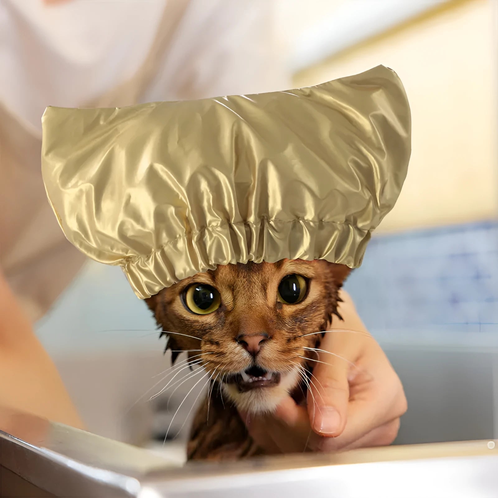 Adjustable pet shower cap in silver colour with waterproof non-woven fabric for dog bath protection