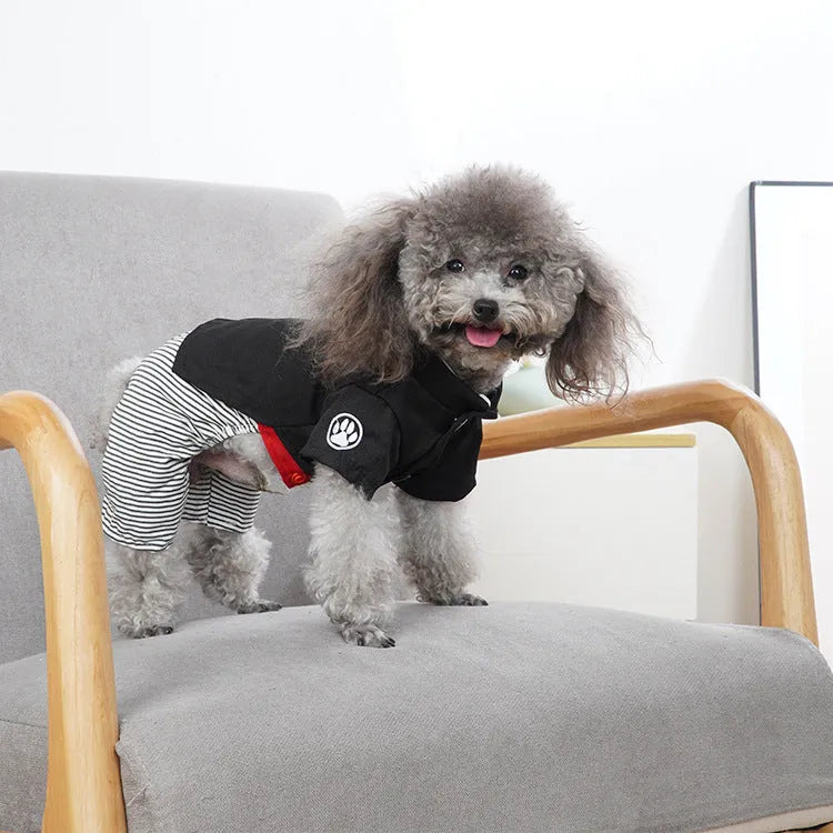 Poodle dog clothes in cotton fabric showing four-foot pants and skirt style options