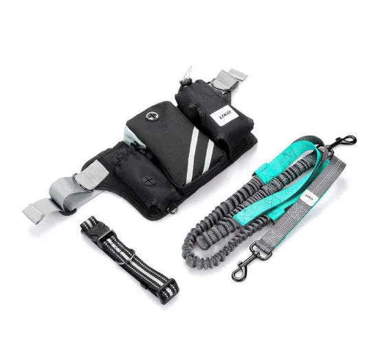 Black nylon dog walking waist bag set with leash and collar for outdoor pet training