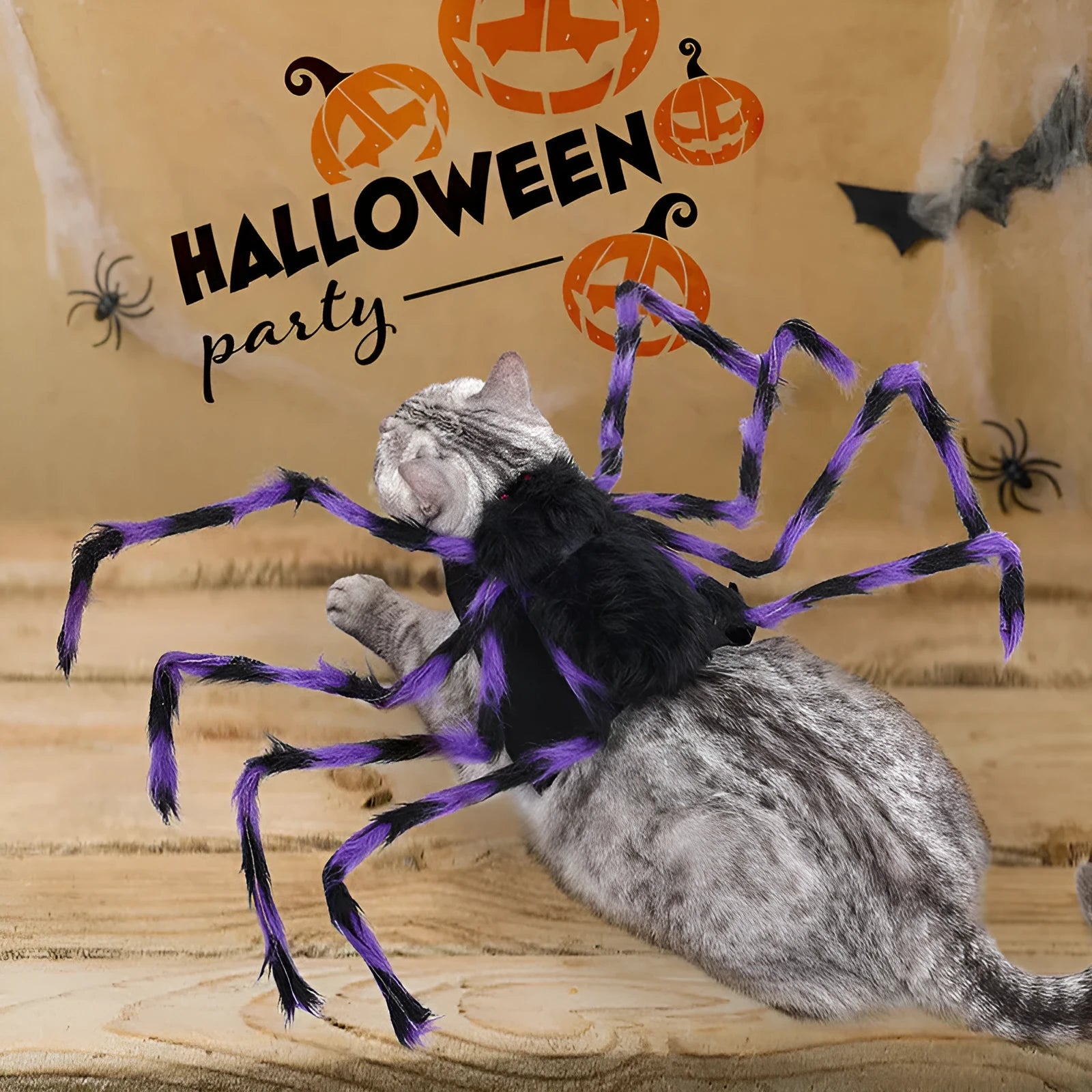Halloween spider costume for pets in four colour variations with three size options