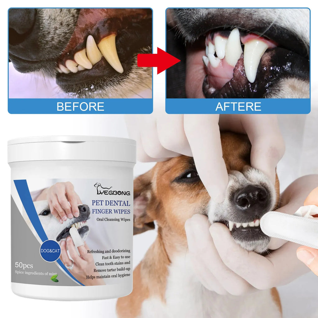 Canister of 50 dog dental finger stall wipes for canine oral hygiene with fingertip sleeve design