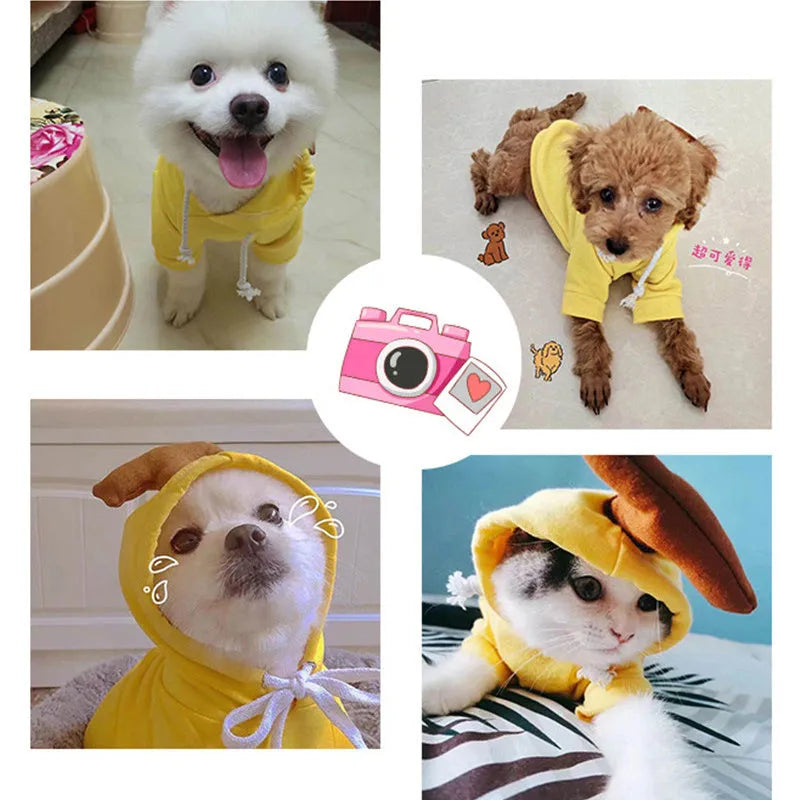 Fleece dog hoodie for small dogs with fruit design and drawstring, sizes XS to 2XL, winter warm pet clothes.