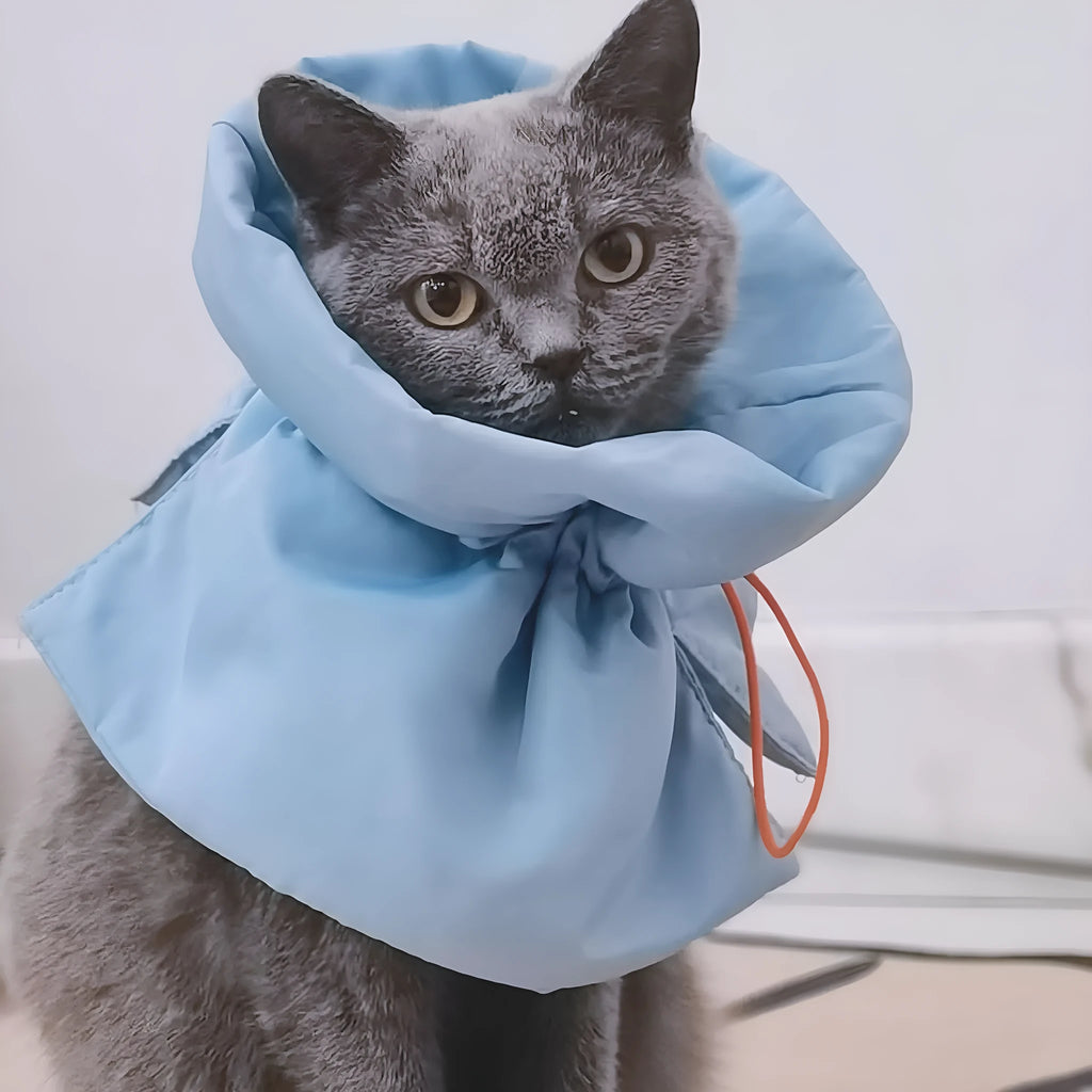 Soft blue adjustable Elizabethan recovery collar on small cat showing elastic buckle and protective cone shape