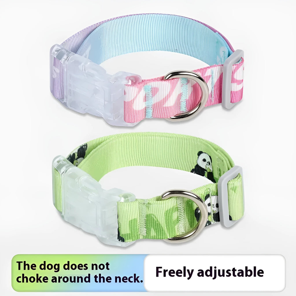 Nylon dog collar with cartoon gradient pattern in gradient colour and panda green options