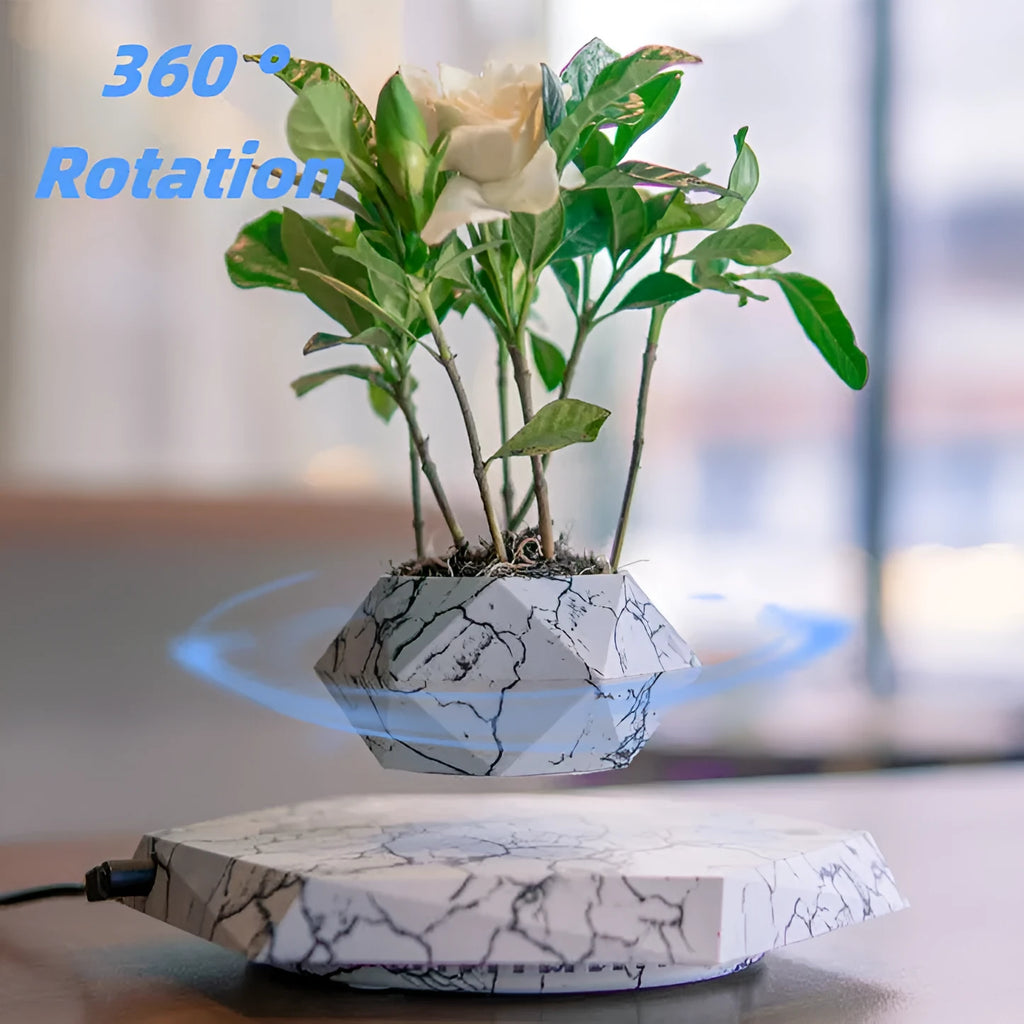 Marble colour magnetic levitating plant pot floating and rotating a small bonsai plant