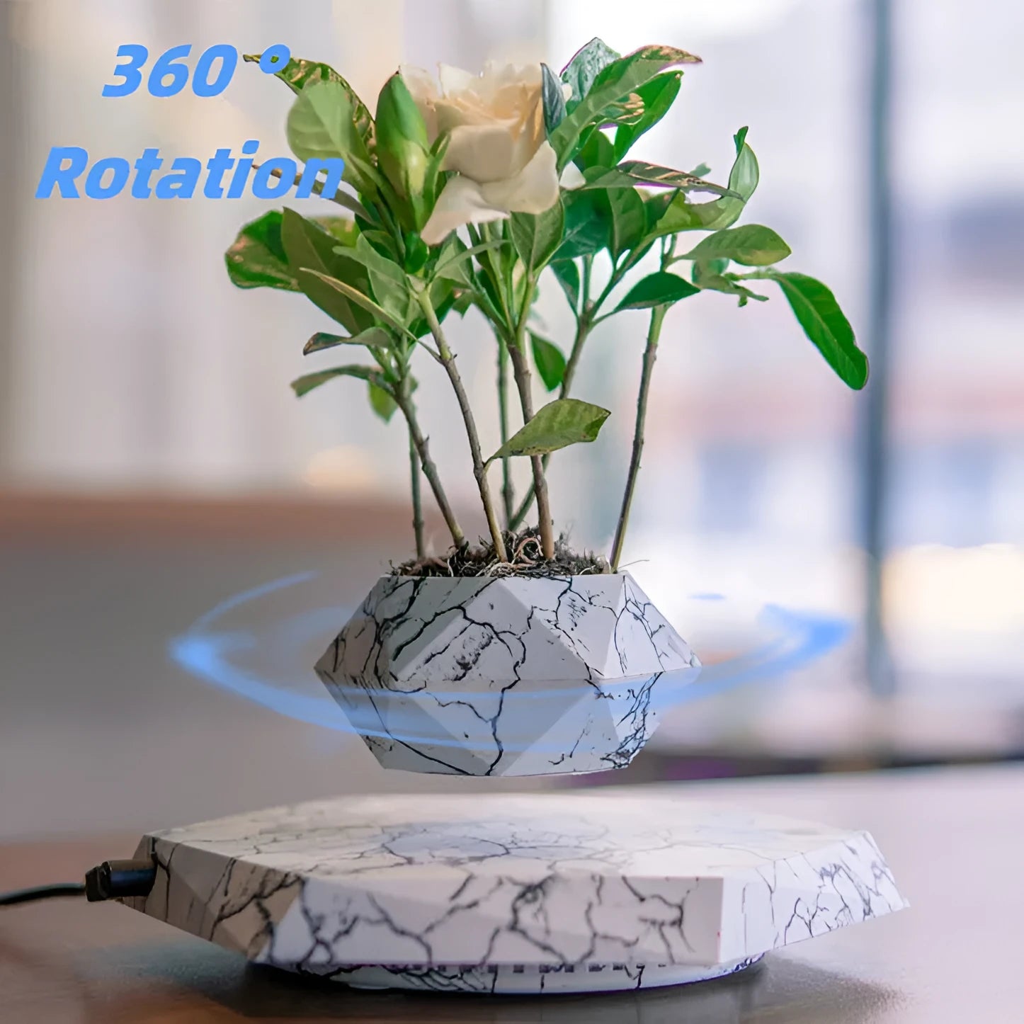 Marble colour magnetic levitating plant pot floating and rotating a small bonsai plant