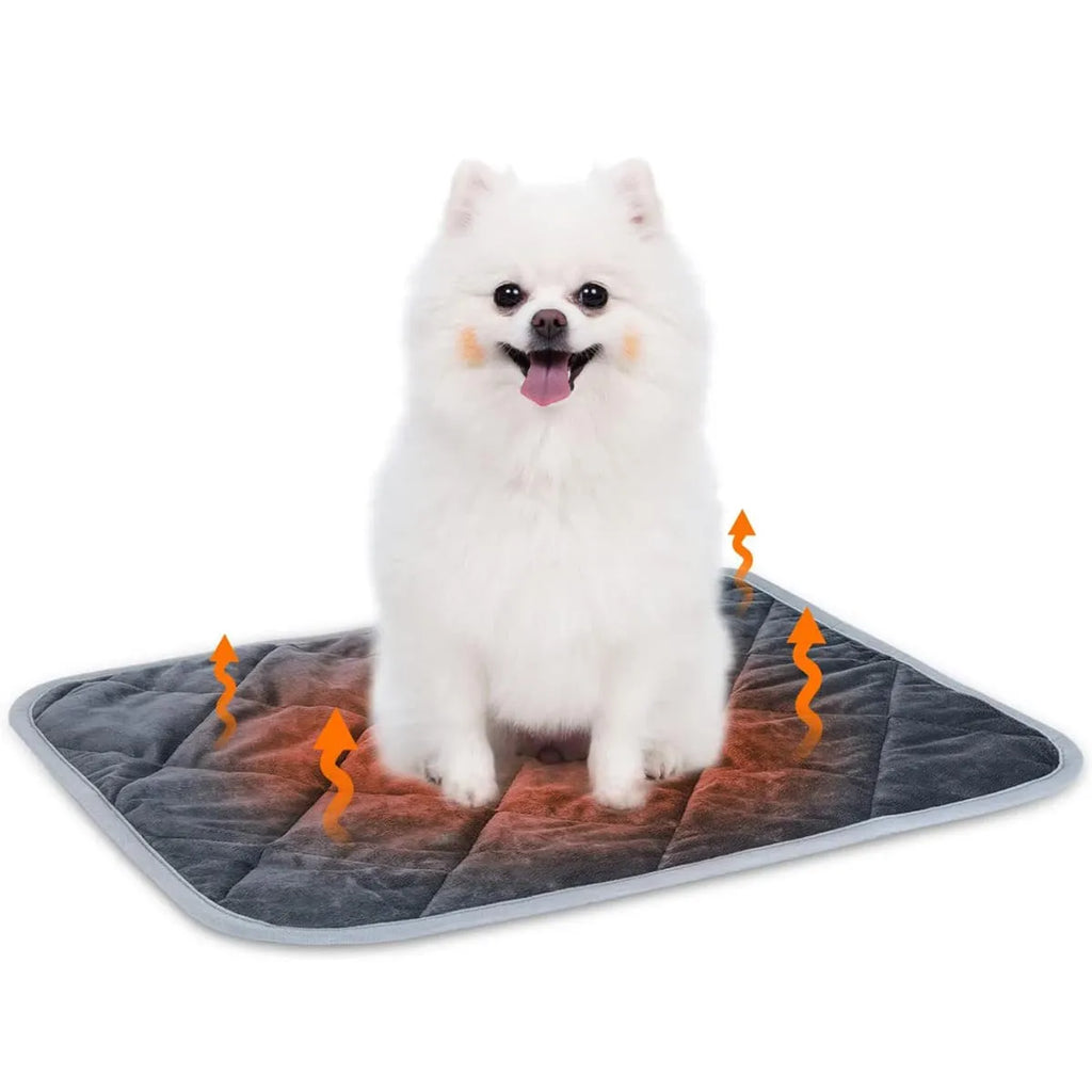 Grey super soft cloth pet cushion shown in multiple sizes for dogs and cats