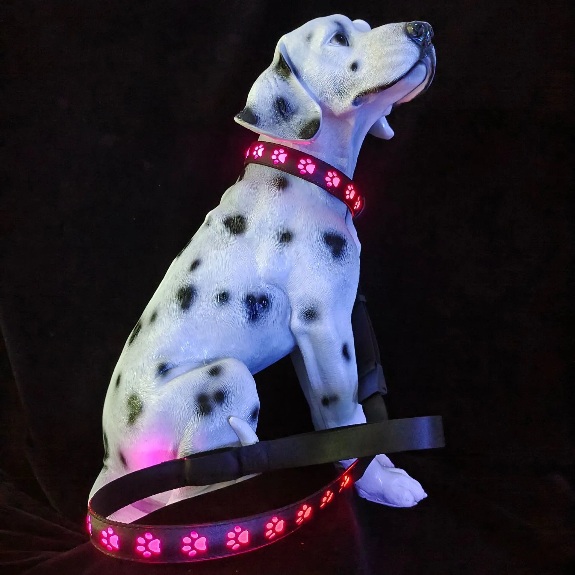 LED light-up pet collar showing seven colour modes on adjustable polyester strap with USB charging port