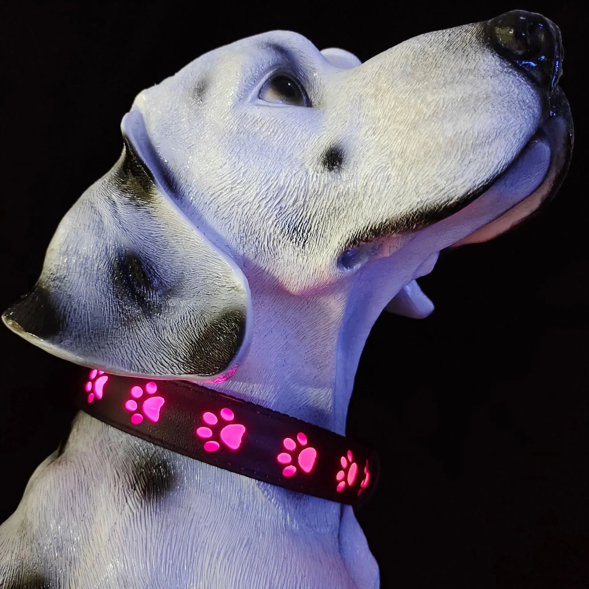 LED light-up pet collar showing seven colour modes on adjustable polyester strap with USB charging port