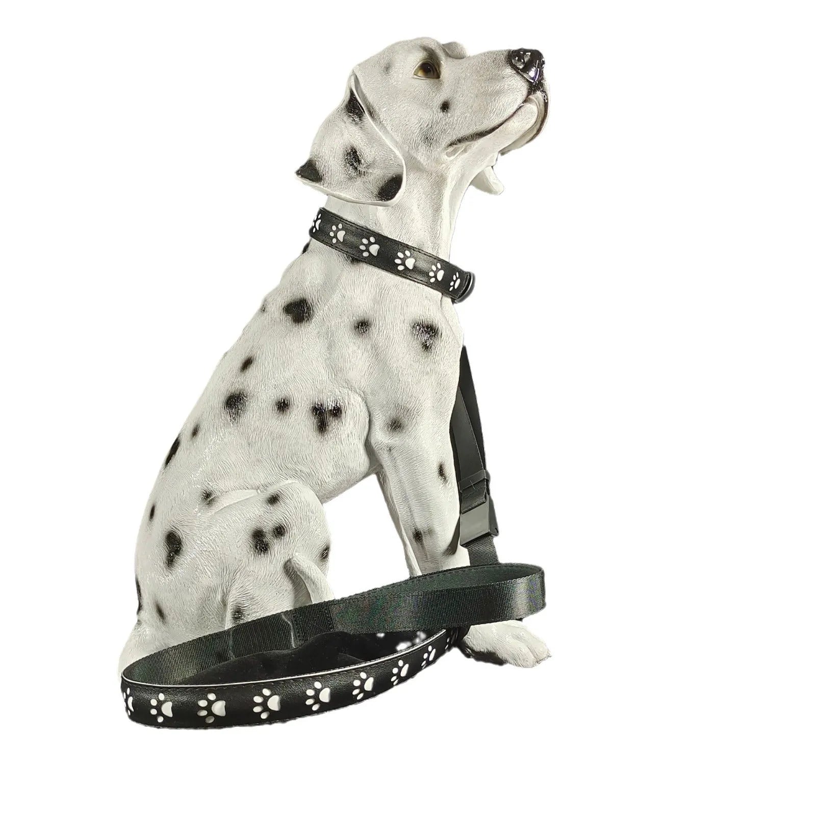 LED light-up pet collar showing seven colour modes on adjustable polyester strap with USB charging port