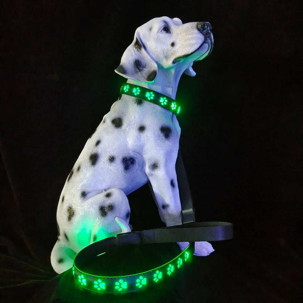LED light-up pet collar showing seven colour modes on adjustable polyester strap with USB charging port