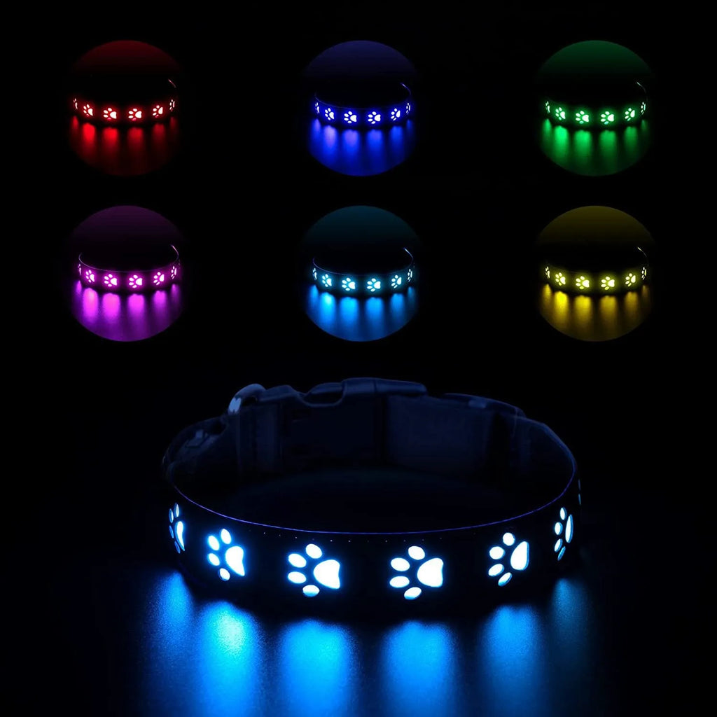 LED light-up pet collar showing seven colour modes on adjustable polyester strap with USB charging port