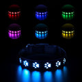 LED light-up pet collar showing seven colour modes on adjustable polyester strap with USB charging port