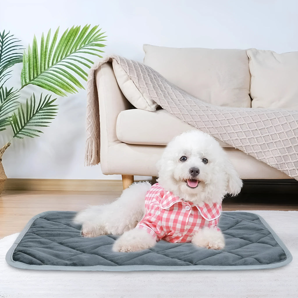 Grey super soft cloth pet cushion shown in multiple sizes for dogs and cats