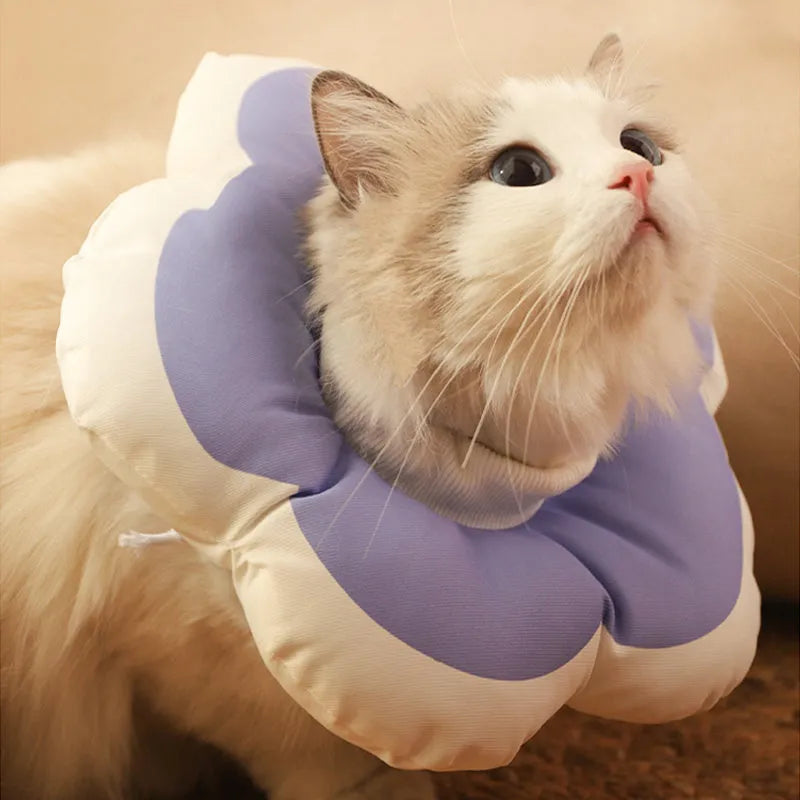 Blue cotton cat recovery collar with a solar-powered flower, shown with adjustable elastic strap and ties.