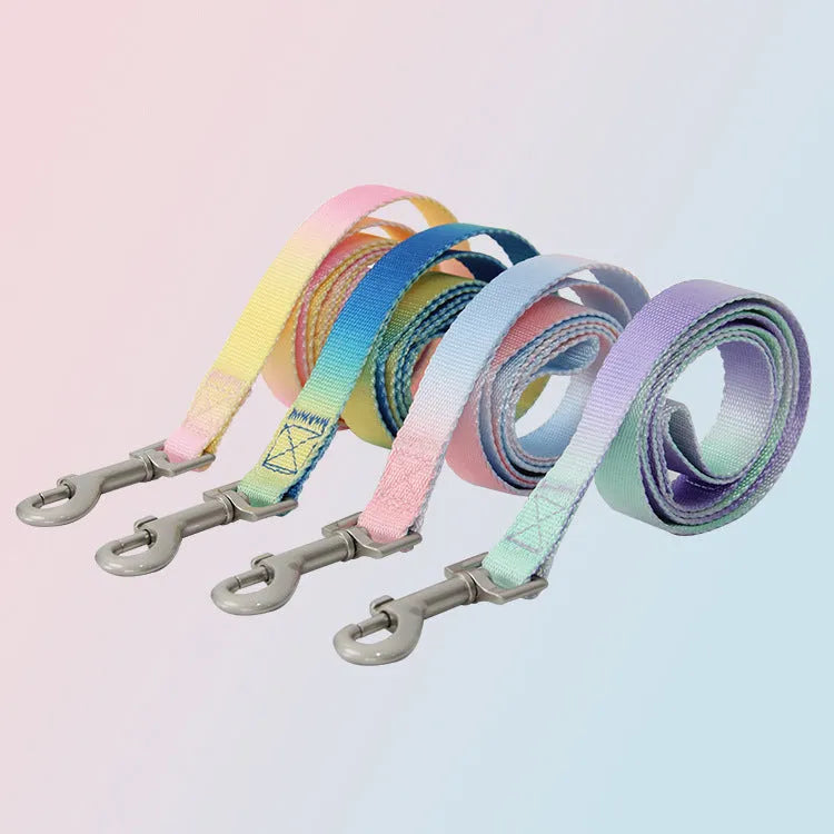 Gradient colour nylon dog lead and adjustable chest harness set for small or medium dogs.
