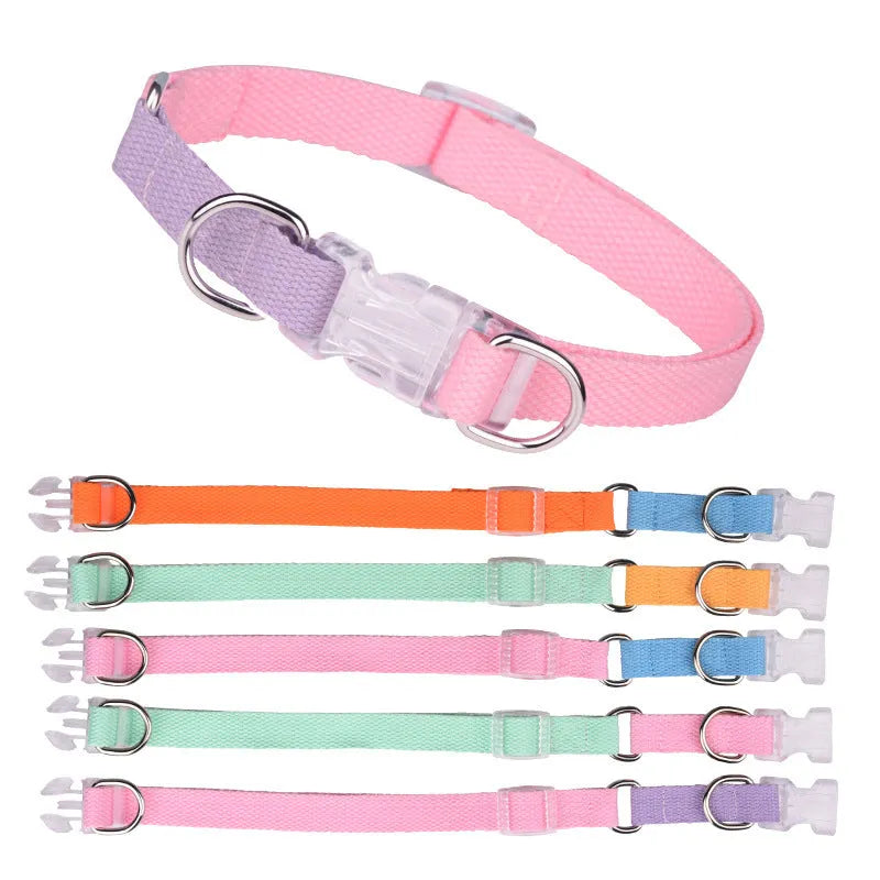 Polyester dog collar set with matching lead and harness in green-pink two-tone colour combination