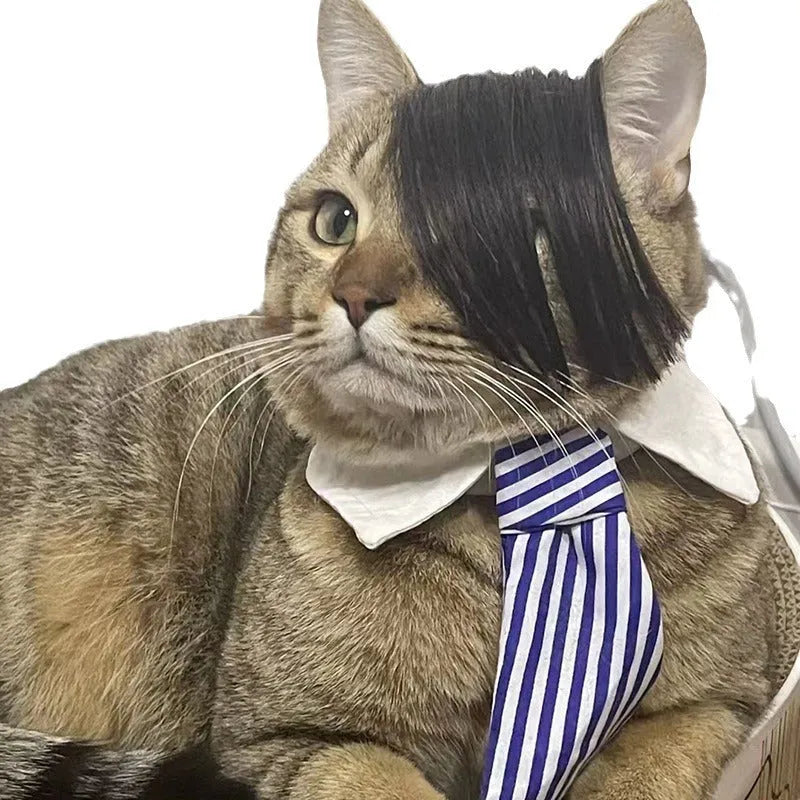 Black cat wig with fox ears and imitation braid for pet dress-up