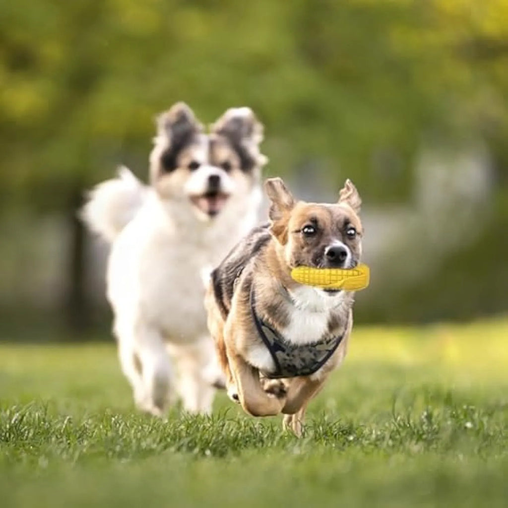 Corn stick shaped dog chew toy for aggressive chewers in blue or yellow colours