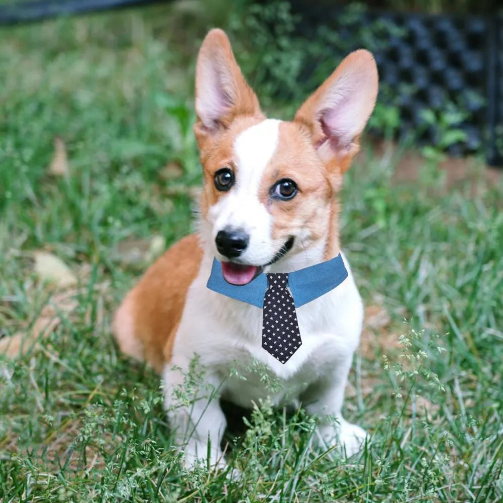 Adjustable denim dog collar with a star pattern necktie, shown in sizes S, M, and L.