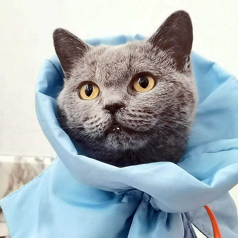 Soft blue adjustable Elizabethan recovery collar on small cat showing elastic buckle and protective cone shape