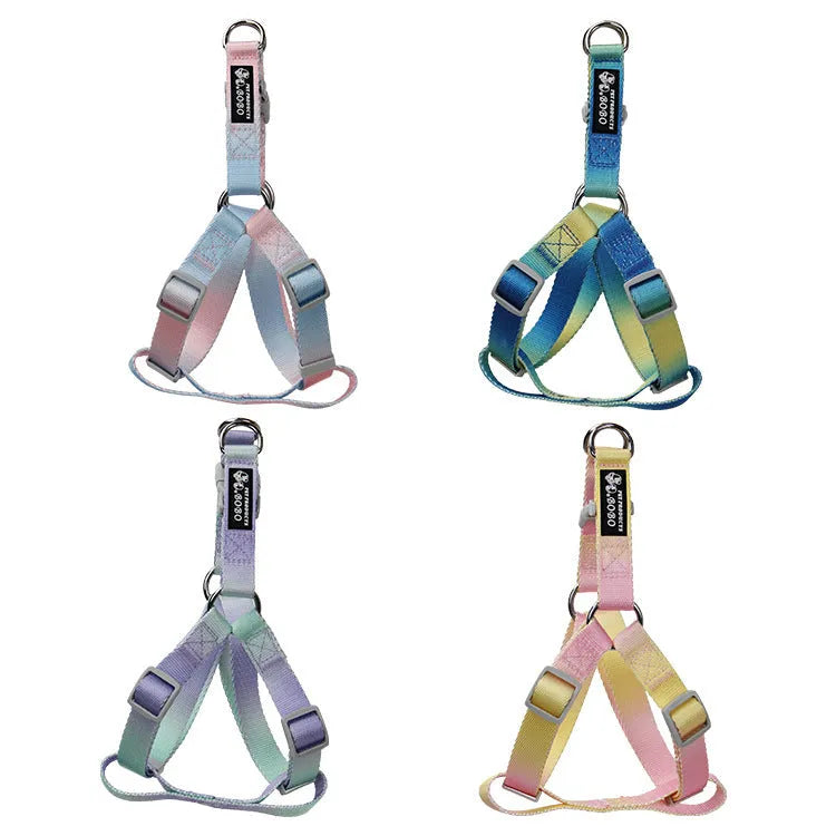 Gradient colour nylon dog lead and adjustable chest harness set for small or medium dogs.