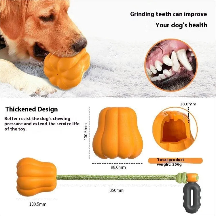 Orange plastic molar-shaped dog toy with rope attachment for chewing and fetch games