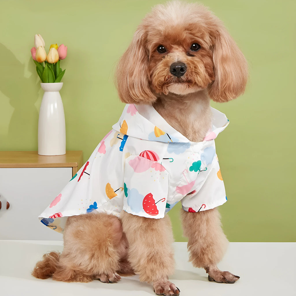 Cartoon umbrella pattern dog raincoat in polyester fabric showing colourful design